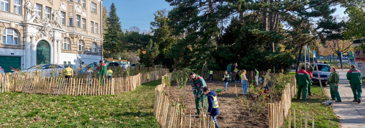 Mjere ozelenjivanja realizirane su i u sklopu projekta Wiener Wäldchen